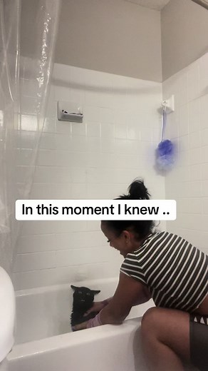 Tips for Bathing Cats Without the Struggle