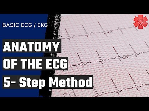 Basic ECG/ EKG Part 2: The Anatomy of the ECG/ EKG & 5-Step Method