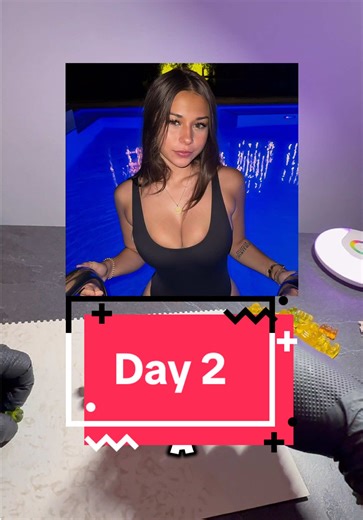 Day 2 of Building Project D: Progress Update