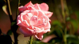 Spring is here. 🌱 As we all wait out this storm, we can't help but be excited to share the First Day of Spring with you, Wisconsin!🌷☀️ | Discover Wisconsin