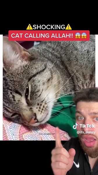 Cat Calls Out to Allah | Shocking Video