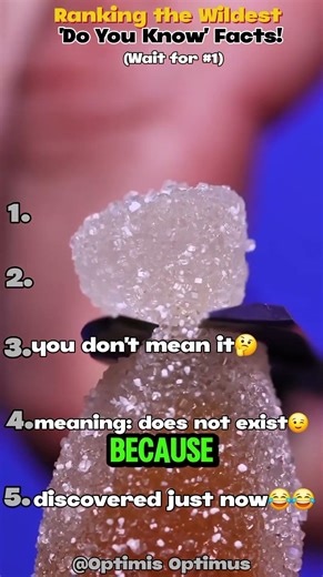 Ranking the Wildest 'Do You Know' Facts! (Wait for #1)