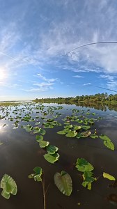 Damn I love this game! #fishing SWAMP STIXX Custom RodsSlick Sticks Custom RodsEverlasting Slip Bobber | Branden Scott