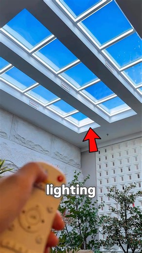 They Turn Fake Windows Into Big Profit