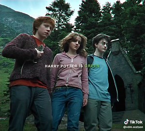 Colorful Harry Potter Edits: Hogwarts Houses and Character Colors