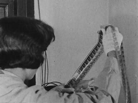 Behind the Scenes: The Working Side of the Museum, 1928 | From the Vaults