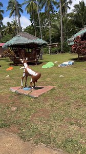 421K views · 3.1K reactions | 若 #davaolaagguide | Davao Laag Guide | Facebook