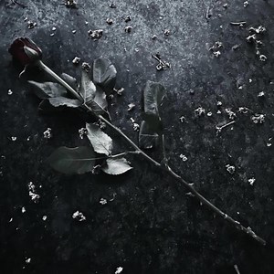 Endless Me - Elaine (2025) [Single]