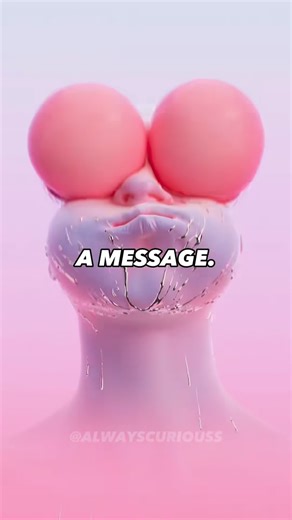 NetworkX.ai on Instagram: "Dreams could become a reality Use NetworkX.ai Link in bio! #networkxai #networkxai #lead #dream"