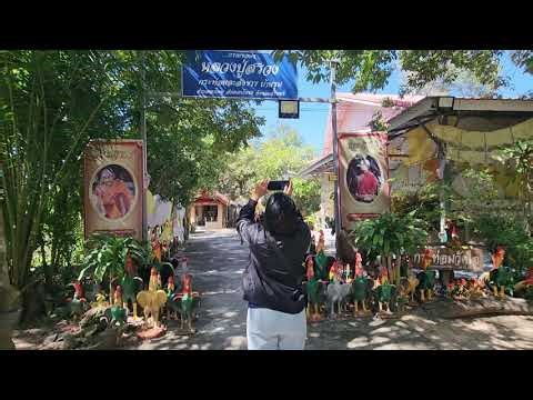 It's been a long time... I'm paying my respects and asking for blessings from Luang Pu Suang at h...