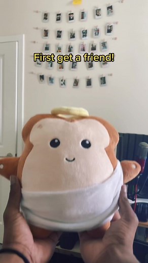 Jesus Crust Plushie - Pre Order Now!