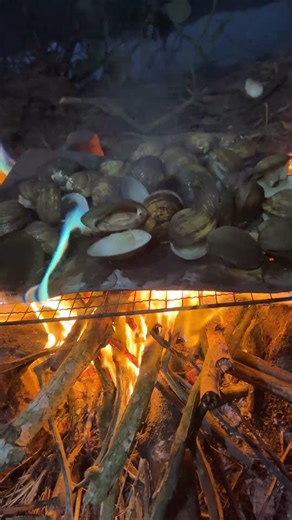 Jungle Food Cooking in the Wild#wildcooking #primitiveplus #outdoorcooking