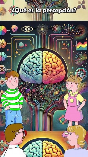 What is perception?