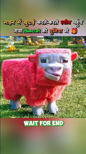 I Found An Entire Minecraft World While Digging For Diamonds