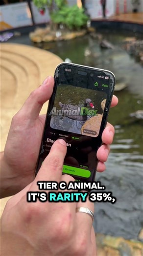 Real-Life Pokémon Ecosystem 🌿🦎 #animaldex #collectinganimals #pokemonirl