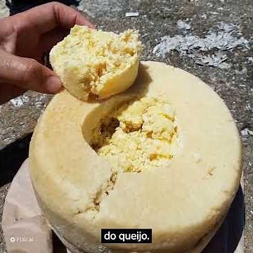 Queijo exótico. Conheça o fascinante Casu Marzu.