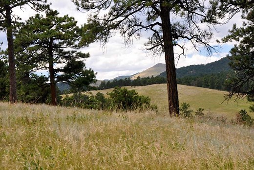 Canyon Loop Trail - Betasso Preserve Near Boulder, Colorado