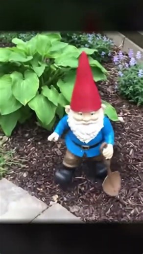 What the hell is this gnome!?