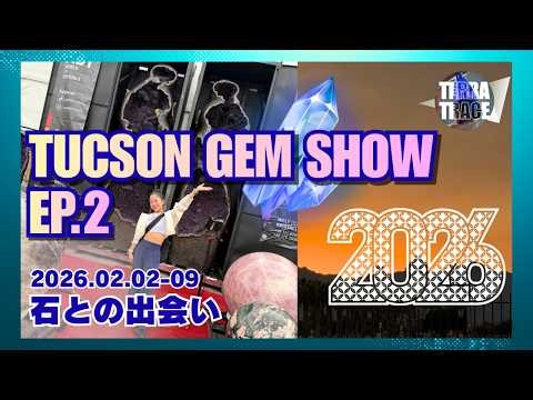 【世界最大級】ツーソン ミネラルショー 2026 Gem show in Tucson ep.2