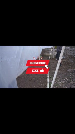 HILLBILLY HOOPHOUSE #oregongardening#budgetgardening #februarygardening #minimalist #gardening