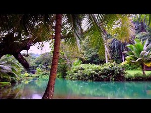 Too Good At Goodbyes - Sam Smith (Conkarah Reggae Version)