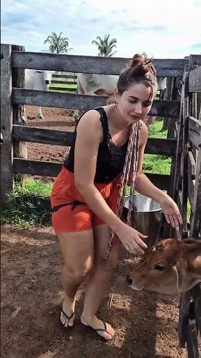 "Cute Moment Feeding a Baby Cow 🐄❤️ | Farm Life Vlog" #villagelife #cow #rurallife #farming