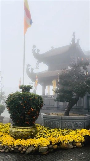 Exploring Beautiful Pagodas & Gardens at Fansipan