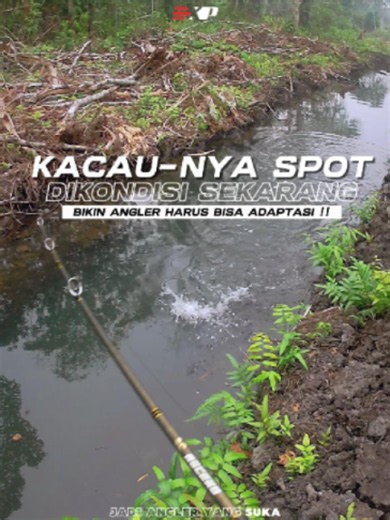 Spot masih surut, gabus makin pasif? 👀🎣 Di saat kondisi makin menantang, angler sejati harus punya strategi! 🔥🐸💪 Source: Prediksi El Niño 2026 https://www.youtube.com/shorts/Ms8SaQ4IG-s Q&A Update Kondisi El Nino 2026 https://www.youtube.com/shorts/fn7xHLjhq18 Pancing ikan gabus dengan umpan anak katak #shorts #mancing #gabus https://www.youtube.com/shorts/FX58UbAmeKA MANCING GABUS DENGAN SOFTFROG https://www.youtube.com/shorts/XDHrtWLW4LE #EXPFishingindonesia #SoftFrogSpecialist #MancingGa