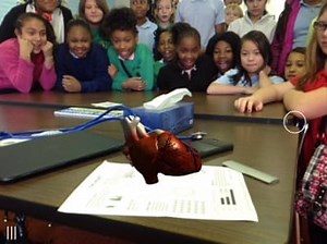 Johnsonville Student Work Samples