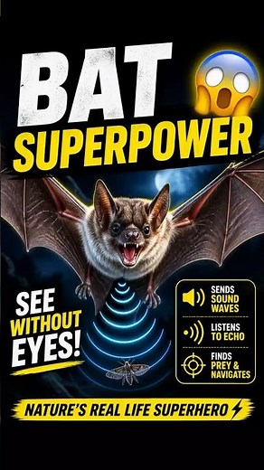 “How Bats See in the Dark 😳 (Secret Revealed)” #facts