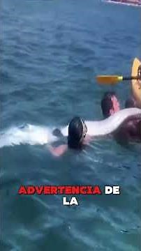 el pez remo y el pez diablo negro #curiosidades