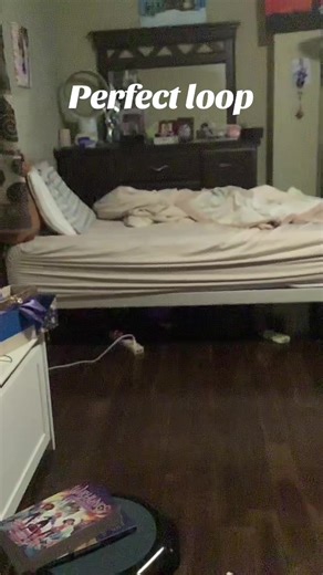 Perfect loop!#shorts#trend#tiktok