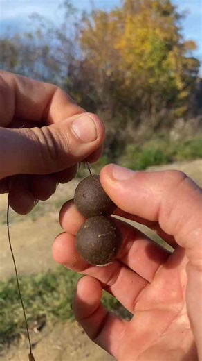 How to build a strong carp rig montage