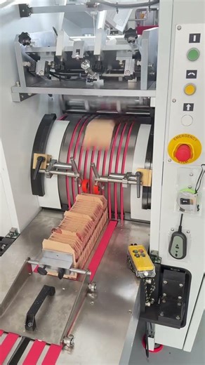 RZJD250 Paper Bag Machine 🌈🛍️ | Two Color Printing with Stable & Reliable Output