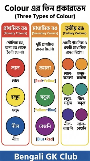 রঙের ৩টি প্রকারভেদ! 🎨 Primary, Secondary & Tertiary Colours Explained | #shorts