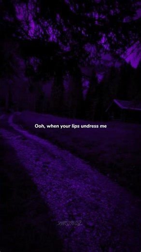 Señorita - Camila Cabello ( lyrics ) #song #music