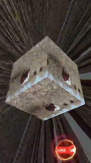 Why does a cow chew the cud #cow #Ruminate #ChewTheCud