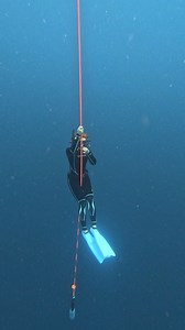 13K views · 376 reactions | The line training , working on equalization techniques before we do the fundive! #freediving #apnea #ocean #swimming #scubadiving #nature #paradise #travel #hostel #backpacker #fyp #reelsviral #Philippines | Blue Freedom Apnea - Freediving Club | Facebook