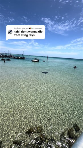 Replying to @أخي علي🇦🇫