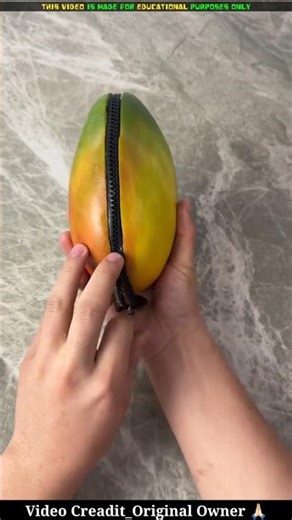 Kids Fighting Over a Juicy Mango… But Mom Says It’s a Magic Money Bag?! 😱🥭😂 | Family Comedy