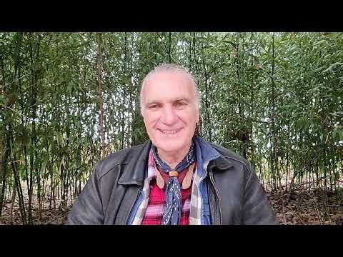 344/365 12-10-25 Thru A Course In Miracles w/ Will-E. P-3. II. Aunt Mae's Bibb Lettuce, Santipap