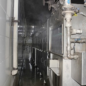 [Hot Item] Halal Muslim Slaughter Chicken Poultry Evisceration Line Chicken Bleeding Machine Poultry Cutting and Processing System