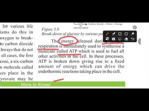 Class 10 Science (Biology) Chapter -1 Life processes lesson part -2 in Telugu #biology #education