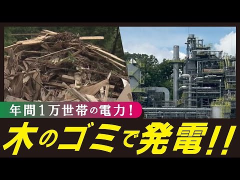 【バイオマス発電（LBS）】都市で出た「ごみ」が宝の山に 廃木材を燃やして電力を生み出す注目の「木質バイオマス発電」