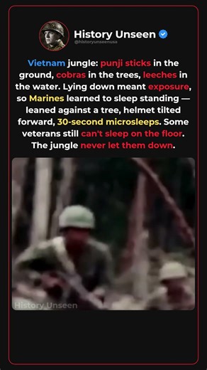 Why US Marines Slept Standing Up In Vietnam 🪖🌿