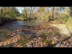 Exploring the Very Upper reaches of the Roanoke River