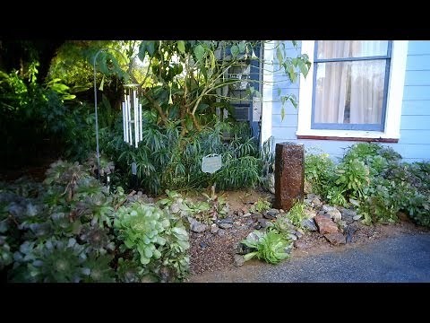 Outdoor Water Fountain | Bird Baths Fountains - DIY 4 of 4