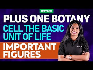 Plus One Botany - Cell the Basic Unit of Life - Important Figures | Xylem Plus One