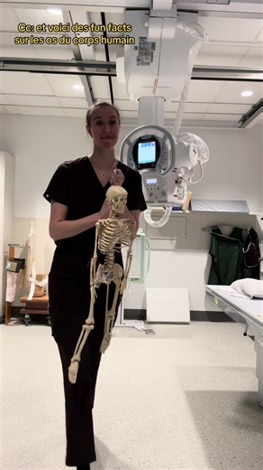 Funfacts sur les os du corps humain! #pourtoiquebec #radiologie #français
