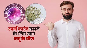 स्पर्म काउंट बढ़ाने के लिए पुरुष डाइट में शामिल करें कद्दू के बीज, जानें सेवन का तरीका